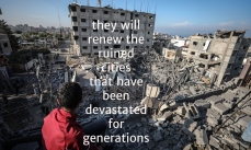 17 Gaza 3 renew