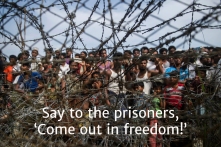 5 freedom Rohingya 9